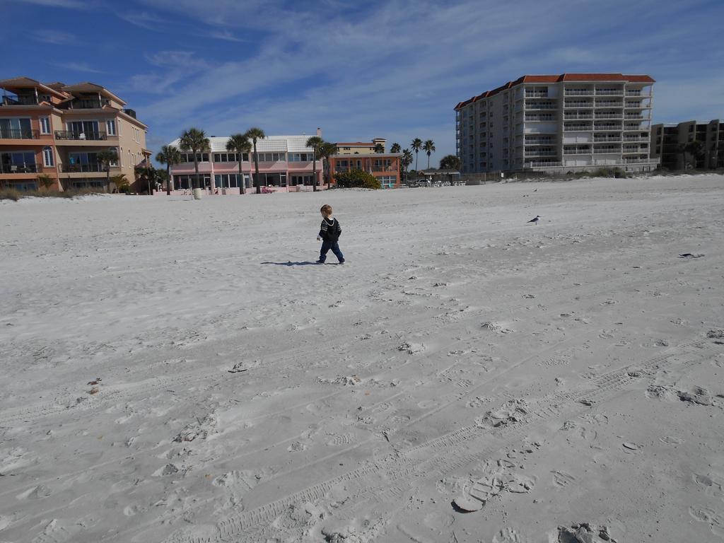 3000 Sq Ft Beach And Bay Condo St. Pete Beach Dış mekan fotoğraf